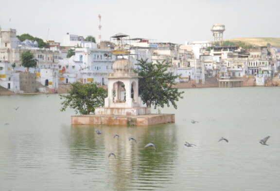 State of India’s Environment 2020 in Figures